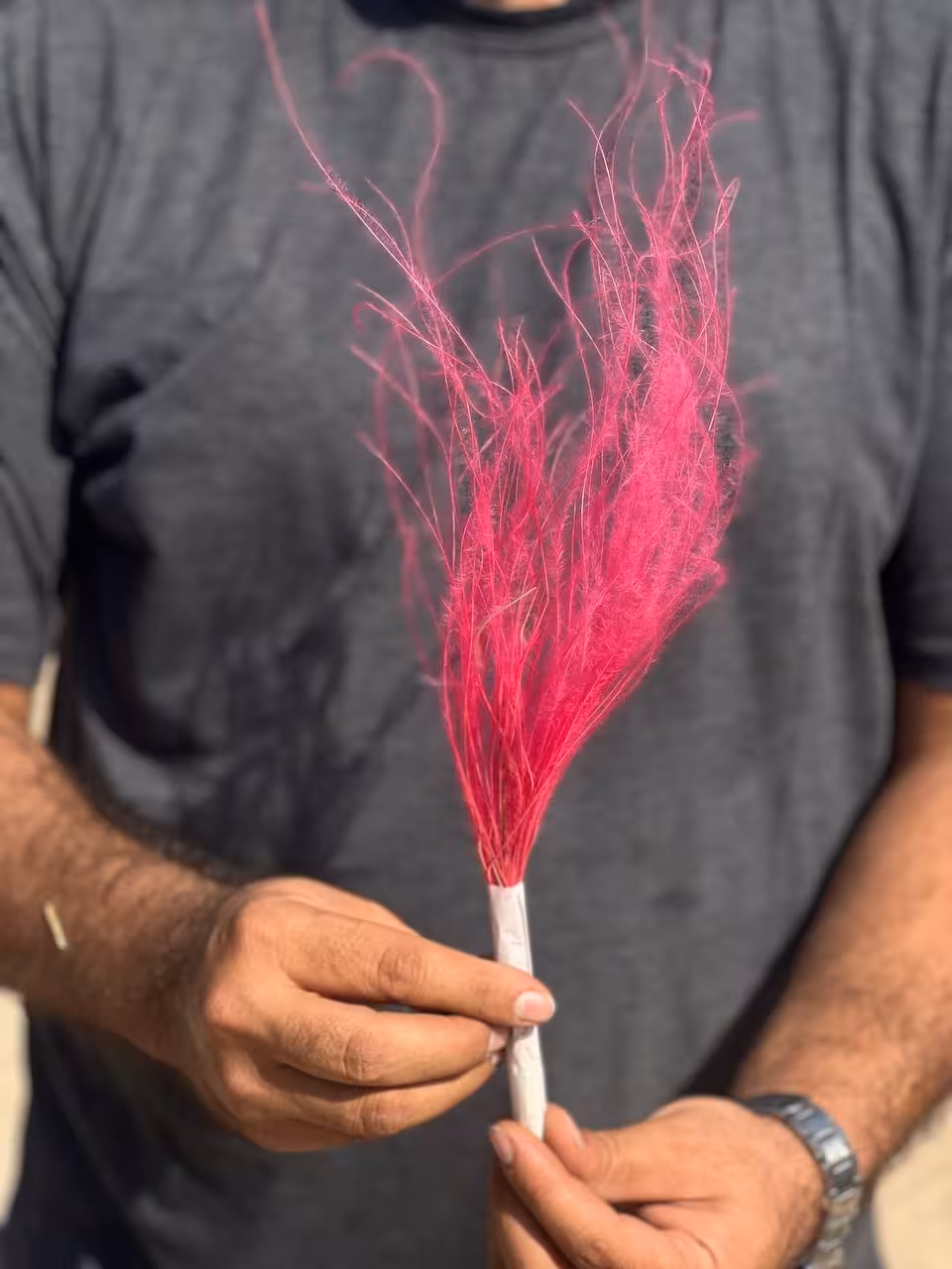 گل ریش بابا رنگ صورتی