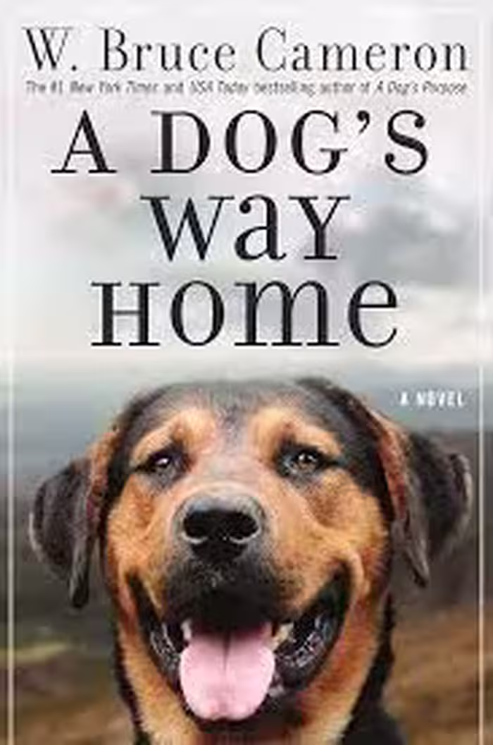 A Dogs Way Home