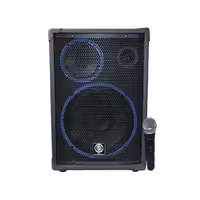 اکو همراه بیسیم زیکو مدل Z-126