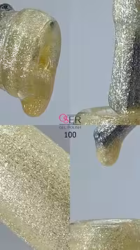 لاک ژل ناخن اسر کد 100