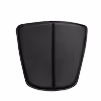 پشتی بوستون