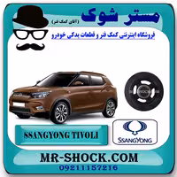 پولی سر میل لنگ سانگ یانگ تیوولی برند اصلی سانگ یانگ موتور با تضمین اصالت