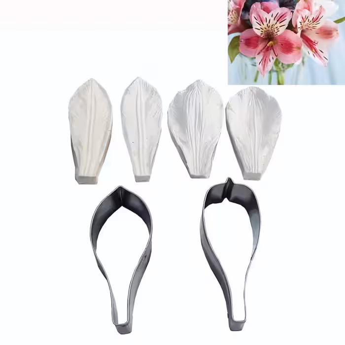 سیلیکون قالب گیری به گز مدل گل آلستر مجموعه 6 عددی