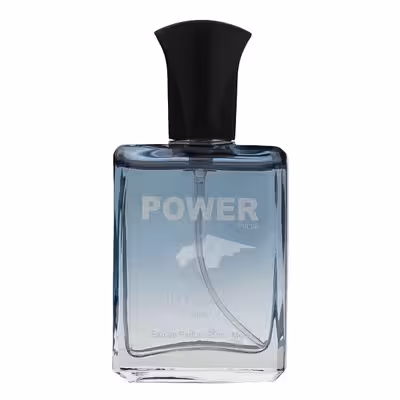 عطر جیبی مردانه پاور پالس مدل Invictus حجم 25 میلی لیتر به همراه عطر جیبی مردانه پاور پالس مدل Terre D’Hermes