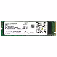 اس اس دی اینترنال اس کی هاینیکس مدل PC601 NVMe ظرفیت 256 گیگابایت | کالا مکس