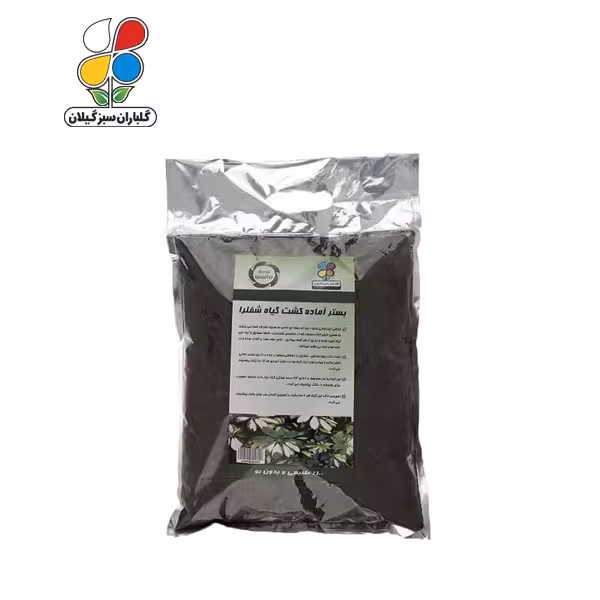 بستر آماده کشت شفلرا بسته 2 کیلوگرمی