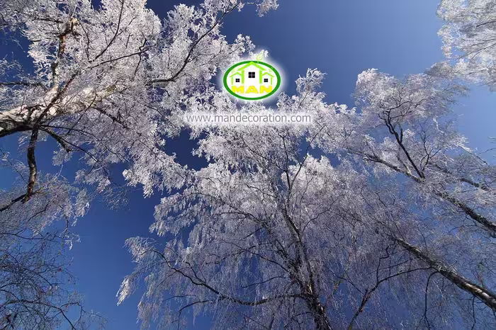 آسمان مجازی شکوفه کد 3205