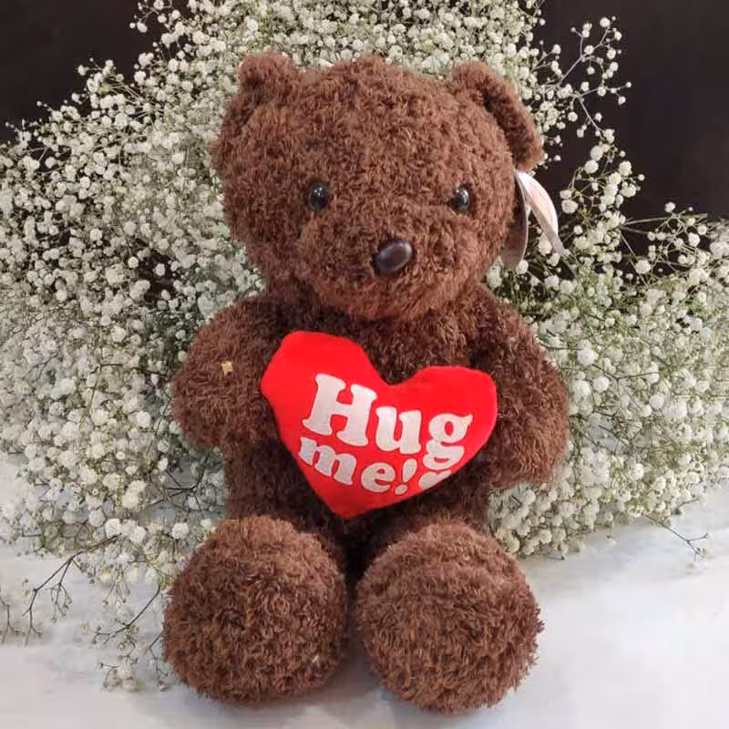 عروسک خرس پشمالو قهوای قلب در دست در قزوین