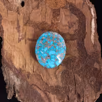 نگین فیروزه شجری کد 11476 - جواهری مشاهیر