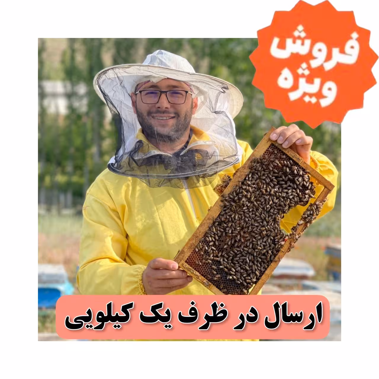 عسل باموم چهل گیاه بسیار خوشمزه (خرید بدون واسطه) برداشت جدید