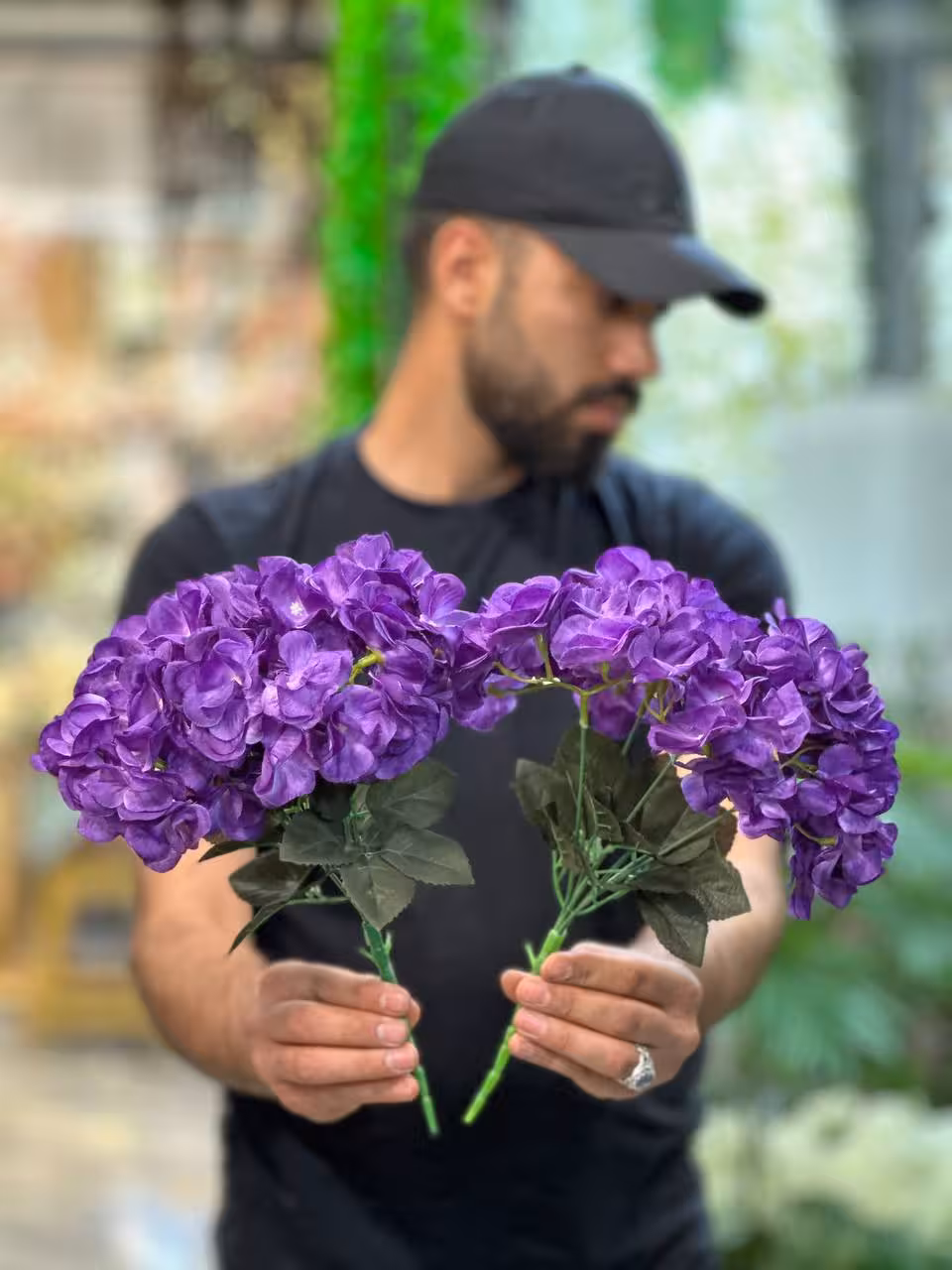 بوته شمشاد بنفش
