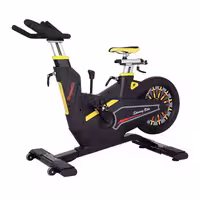 دوچرخه اسپینینگ ام بی اچ MBH Fitness M-5811