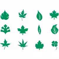 شابلون طرح برگ ( 12 برگ جدا)