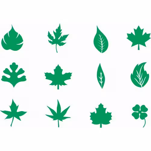 شابلون طرح برگ ( 12 برگ جدا)