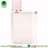 عطر ادکلن باربری هر (بربری هر) 100 میل زنانه