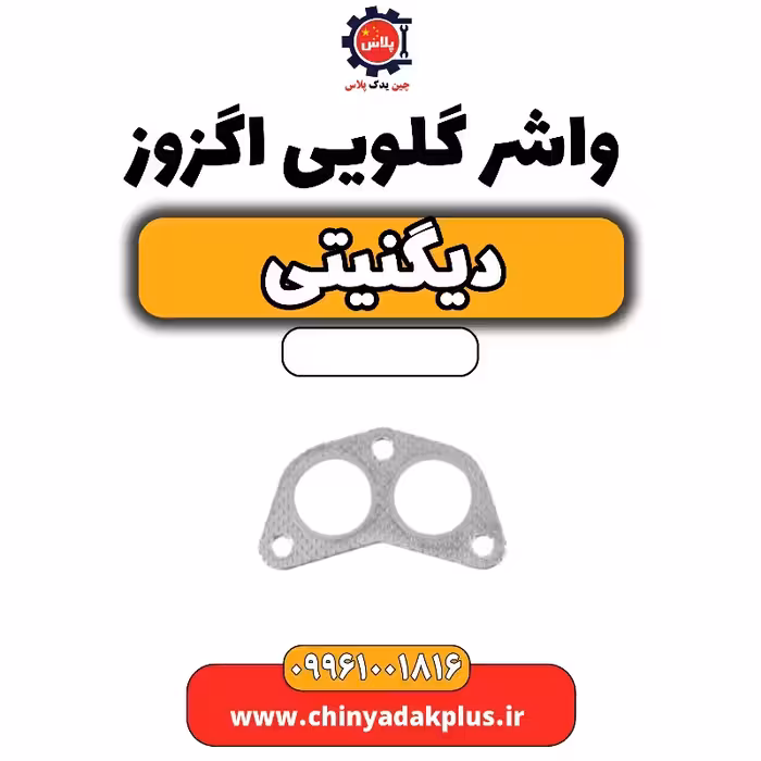واشر گلویی اگزوز دیگنیتی