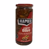 سالاد زیتون اسپانیایی حامد 500 گرمی