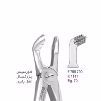 فورسپس بزرگسال عقل پایین - falcon