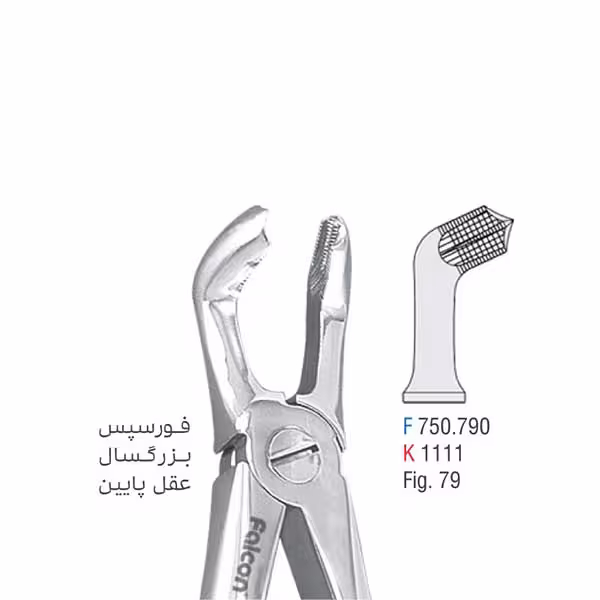 فورسپس بزرگسال عقل پایین - falcon