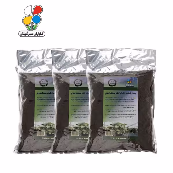 بستر آماده کشت سینگونیوم 4 کیلوگرمی بسته سه عددی