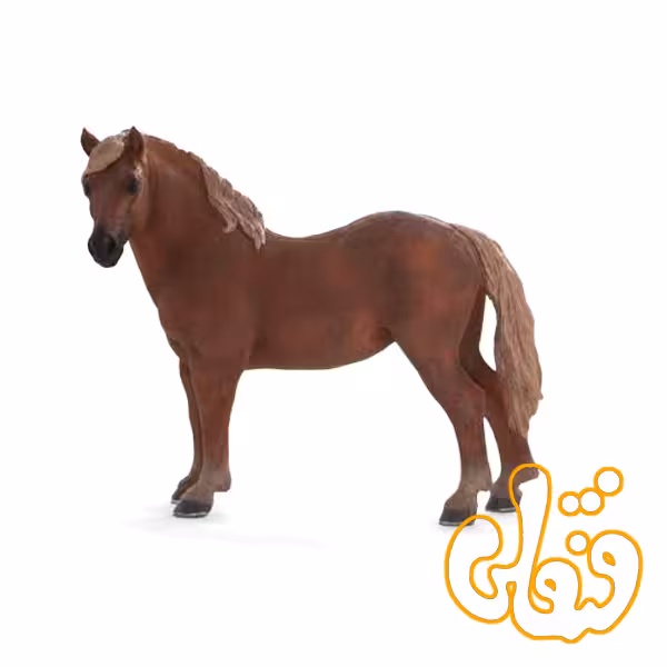 اسب پهلوان سافک Suffolk Punch Mare 387195