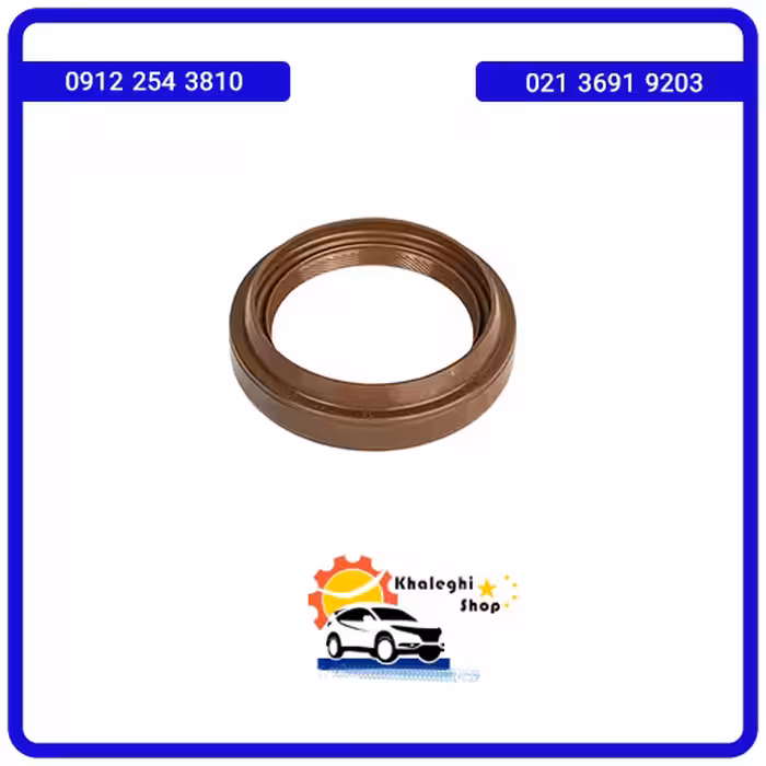 کاسه نمد پلوس لیفان 520