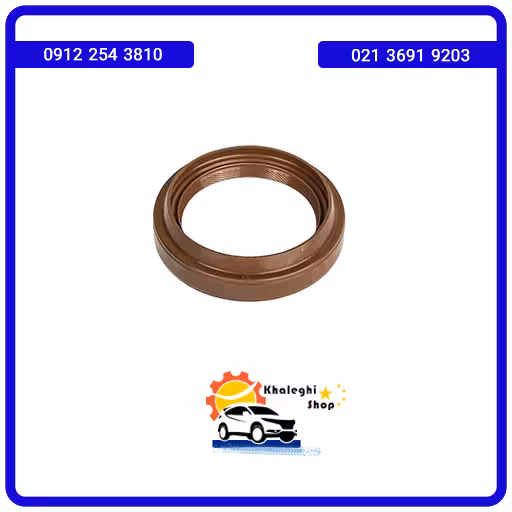 کاسه نمد پلوس لیفان 520