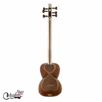 تار میثم علیاری ویژه