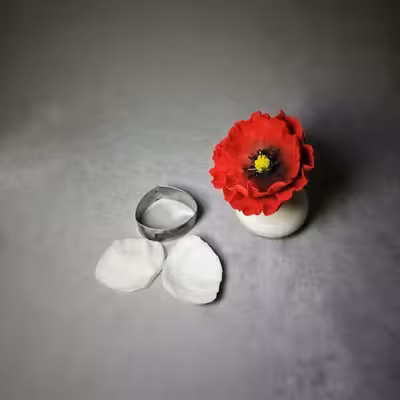 قالب فوندانت بهگز مدل گل شقایق مجموعه 3 عددی