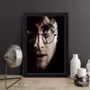 تابلو مدل هری پاتر Harry Potter کد S2936-b