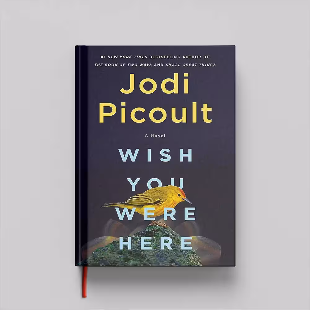 کتاب Wish You Were Here جلد سخت (HARDCOVER)