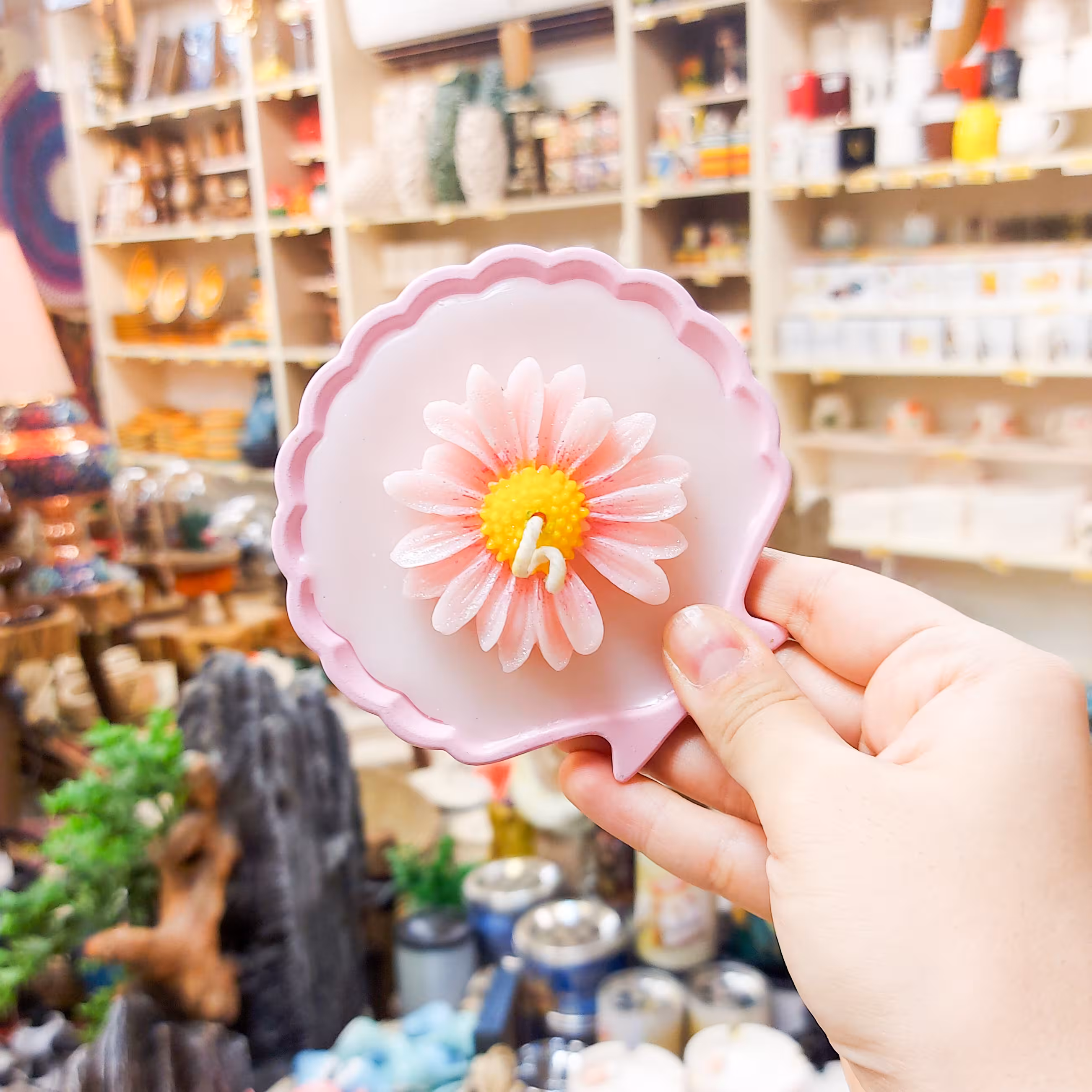 شمع صدفی طرح گل در چهار رنگ پاستلی جذاب دکوری و قابل استفاده 