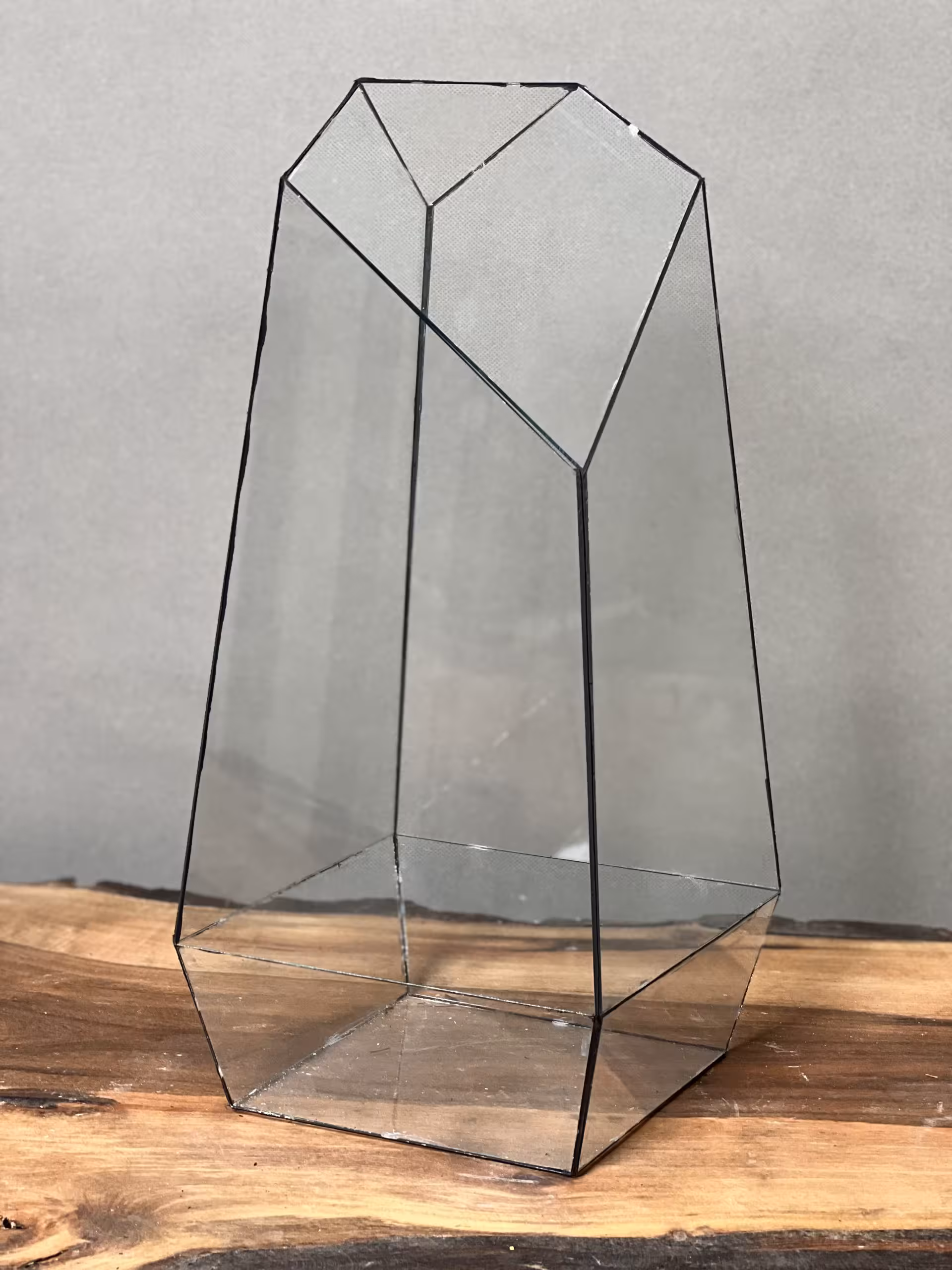 شیشه تراریوم چندضلعی طرح طبیعت 40 Cm - فروشگاه آنلاین پلنت لند
