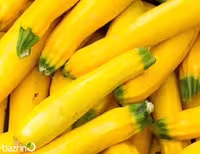 بذر کدو خورشتی زرد