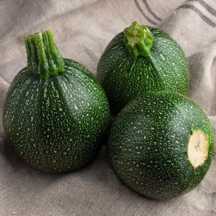 بذر کدو خورشتی مینیاتوری