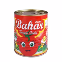 رب گوجه فرنگی دشت بهار 800 گرمی