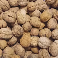 گردو ایرانی تازه نیم کیلو