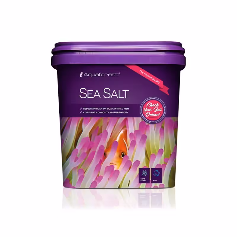 نمک دریایی سی سالت