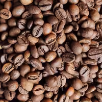 دان قهوه روبوستا فول کافئین تازه رست.بسته بندی 500 گرمی
