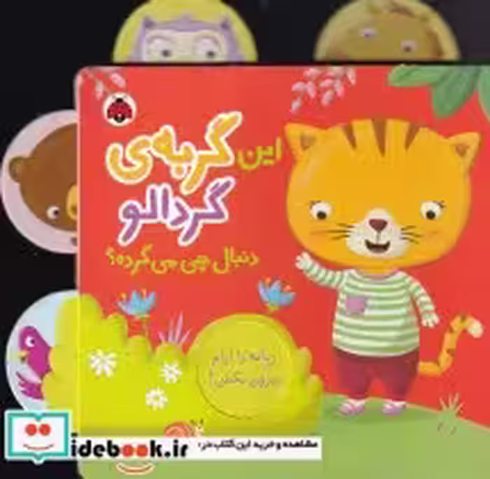 قیمت و خرید کتاب این گربه ی گردالو دنبال چی می گرده | ایده بوک