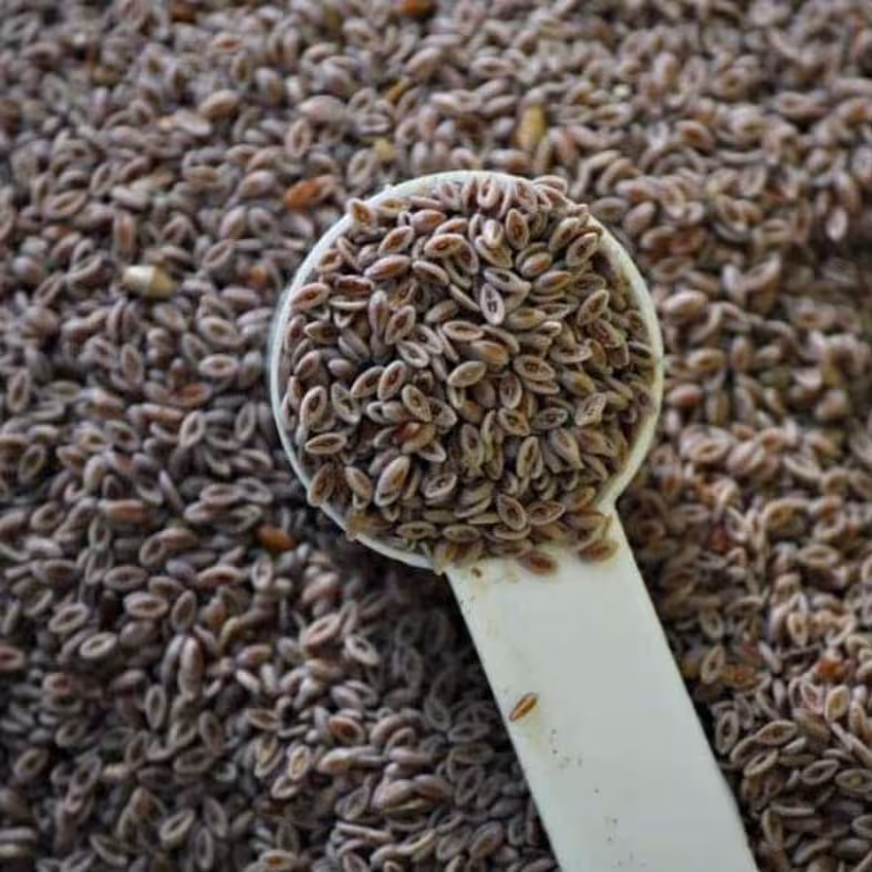 بارهنگ 50 گرم