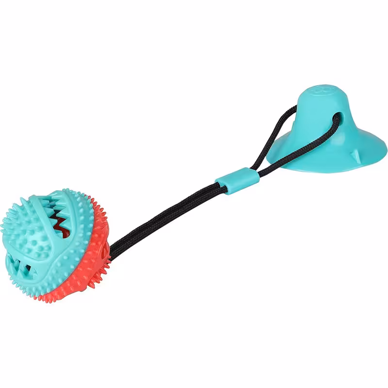 اسباب بازی سگ مدل دندانی TPR | چاوه