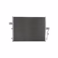 رادیاتور کولر سانگ یانگ رودیوس