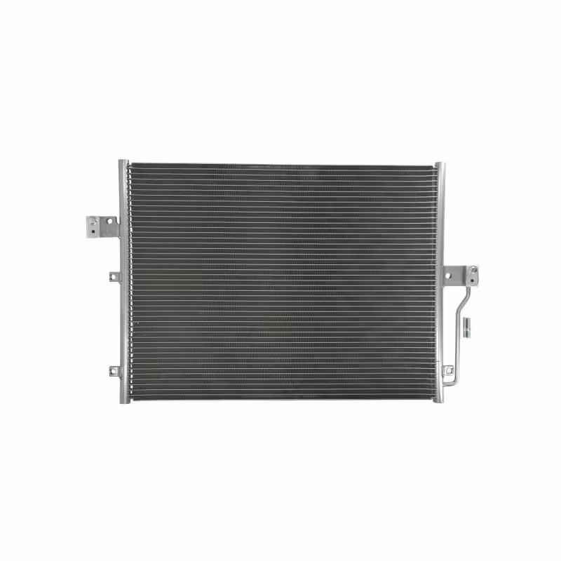 رادیاتور کولر سانگ یانگ رودیوس