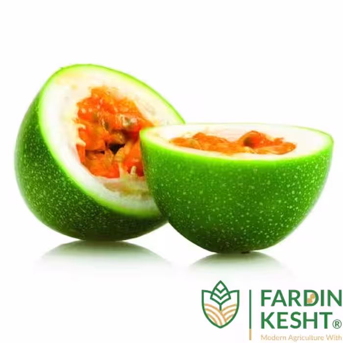 بذر پشن فروت سبز آمریکایی بسته 4 عددی