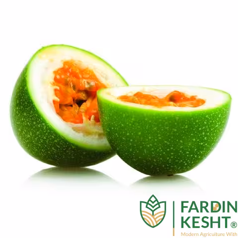 بذر پشن فروت سبز آمریکایی بسته 4 عددی