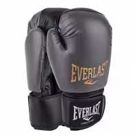 دستکش بوکس اورلست مدل Fiter pro 2025