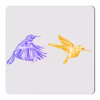 مگنت طرح مرغ مگس خوار کد NIM691