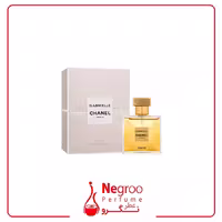 عطر ادکلن شنل گابریل پارفوم 100 میل
