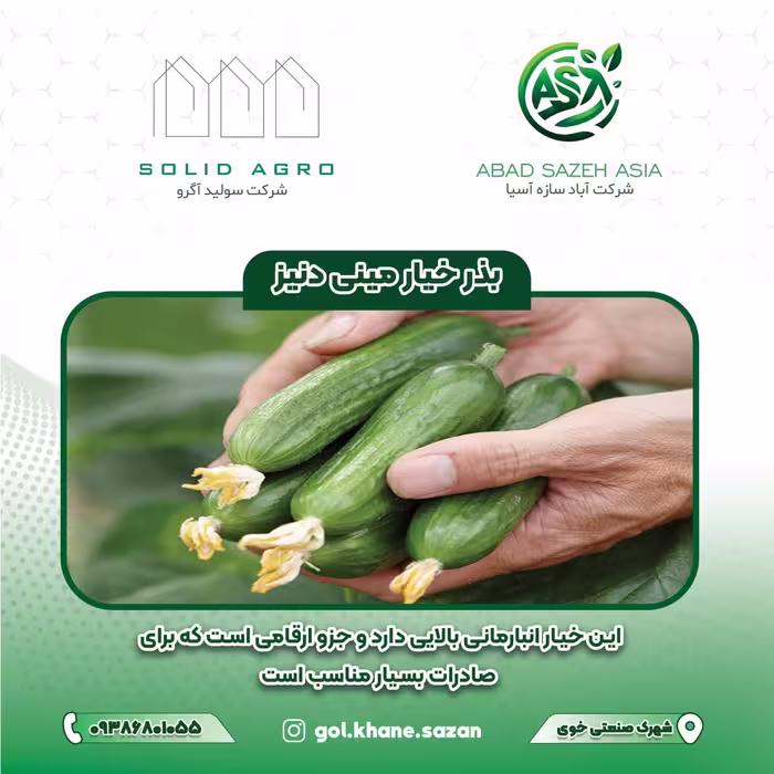 بذر خیار مینی  دنیز پاکت  500 عددی
